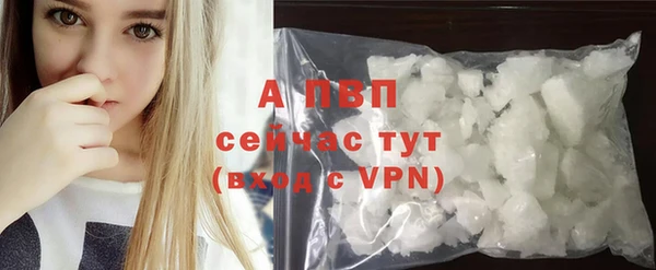 ECSTASY Белокуриха