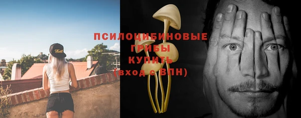 ECSTASY Белокуриха