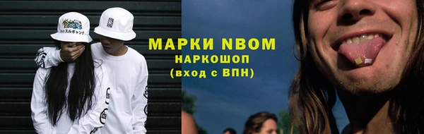 ECSTASY Белокуриха