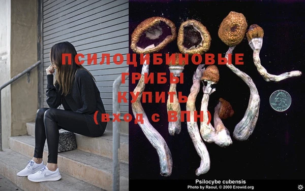 марки nbome Беломорск