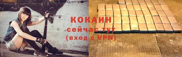 соль ск Богородицк
