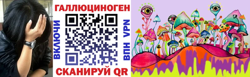 Псилоцибиновые грибы мицелий  Онега 